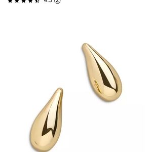 Chic Gold Teardrop Earrings